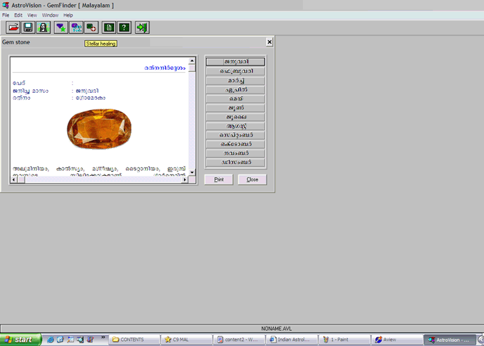 horoscope software data entry gui